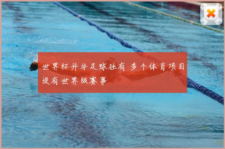 世界杯并非足球独有 多个体育项目设有世界级赛事