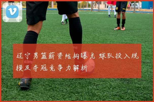 辽宁男篮薪资结构曝光 球队投入规模及夺冠竞争力解析