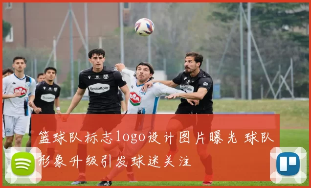 篮球队标志logo设计图片曝光 球队形象升级引发球迷关注