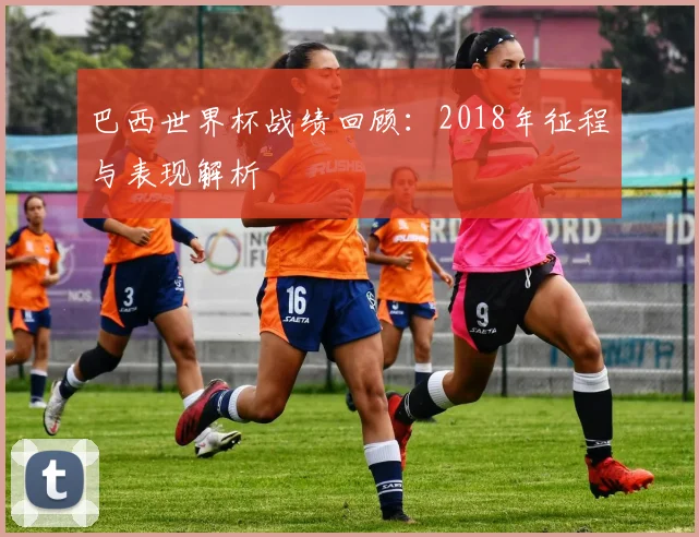 巴西世界杯战绩回顾:2018年征程与表现解析