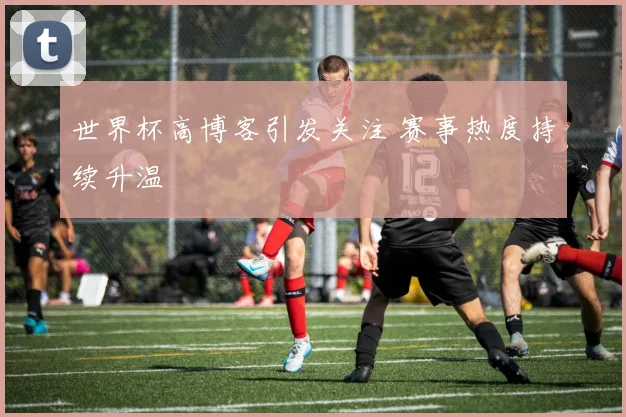 世界杯高博客引发关注 赛事热度持续升温